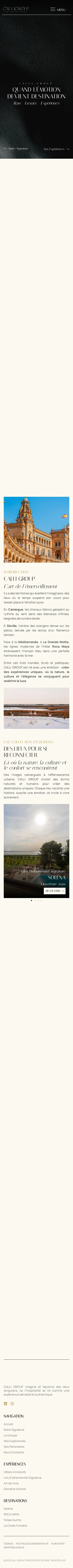 Site de Calli Group · capture mobile