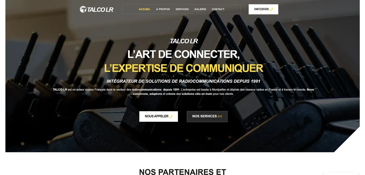 Capture ordinateur du site TALCO LR