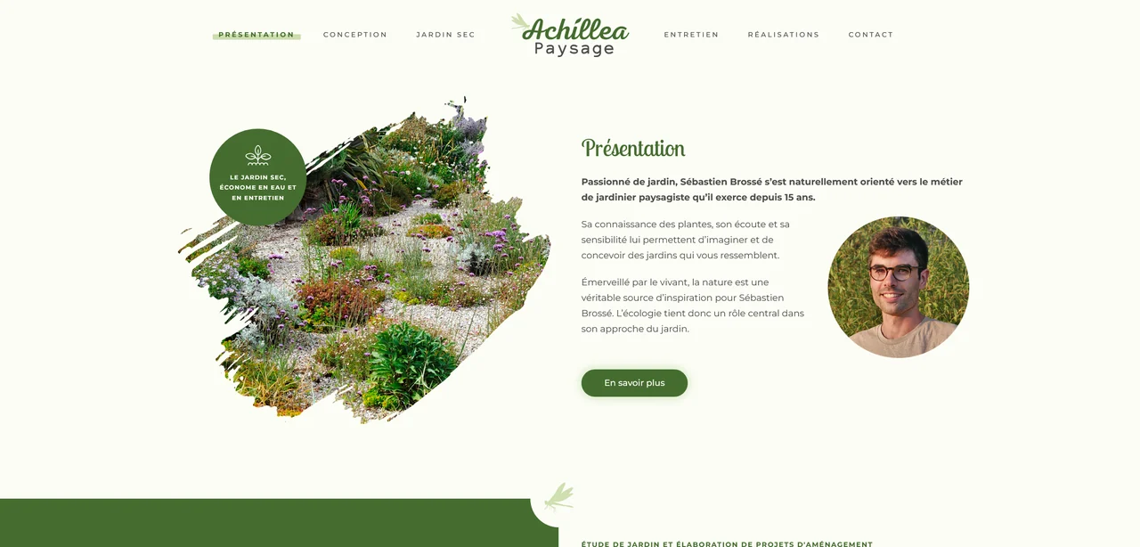 Avant : Achillea Paysage
