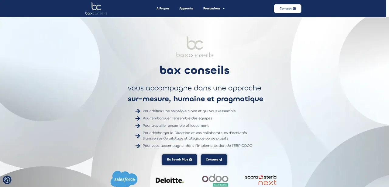 Aperçu du site Bax Conseils